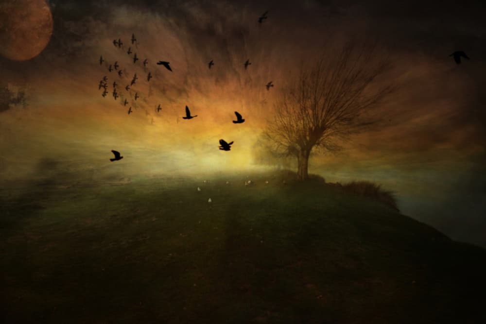 Mysterious Twilight Flight by Robert Fabrowski — canvas wall art