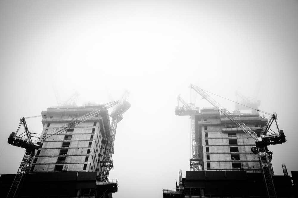 Cranes in the Fog by Tal Paz-Fridman — canvas wall art