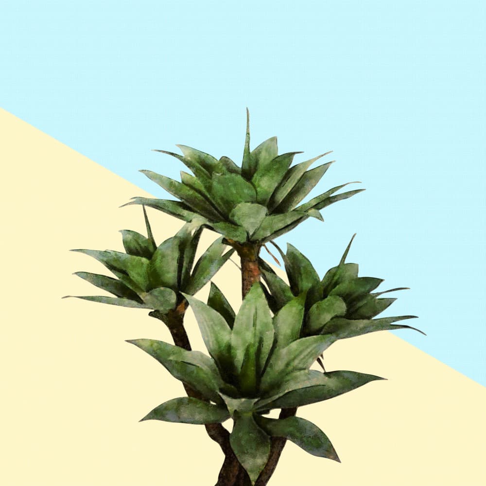 Green Agave Abstract Design by amini54 — canvas wall art