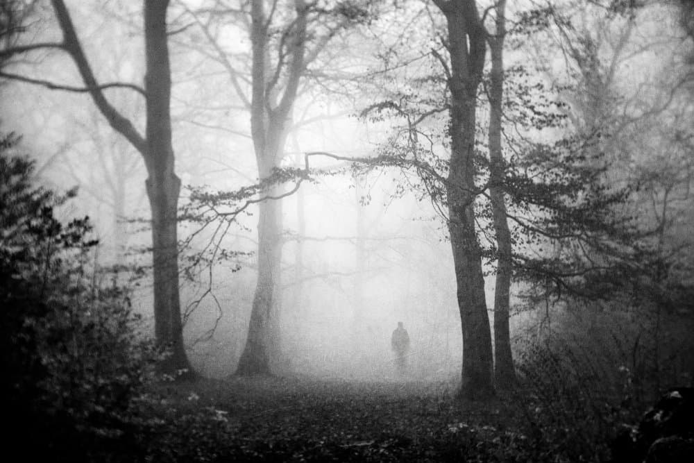 Misty Forest Wanderer by Adam Dauria ☂ — canvas wall art