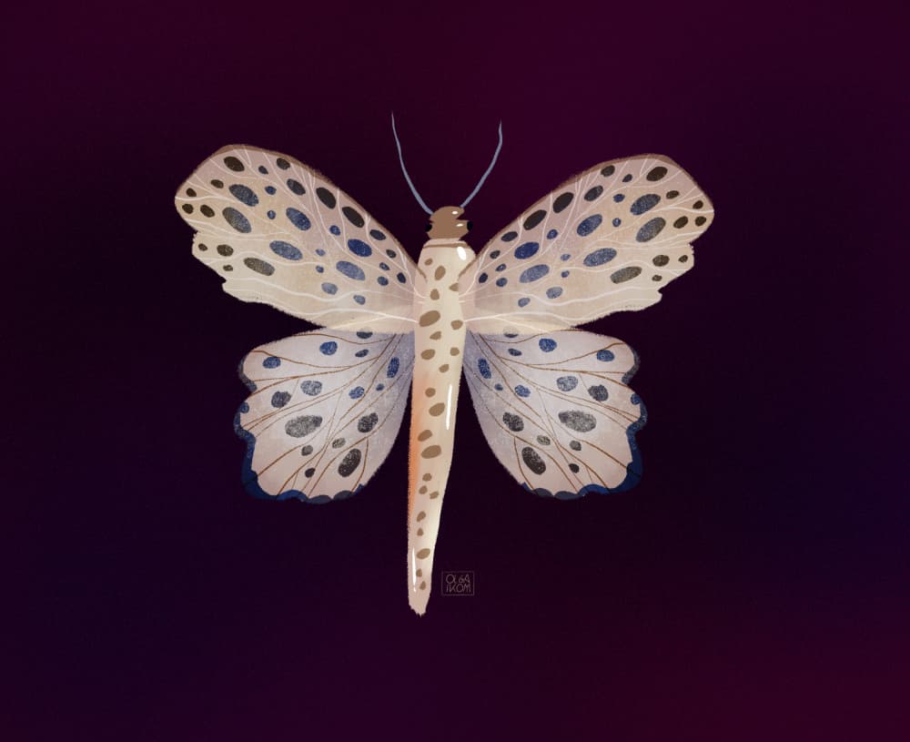 Spotted Butterfly Glow by Olga Skomorokhova — canvas wall art