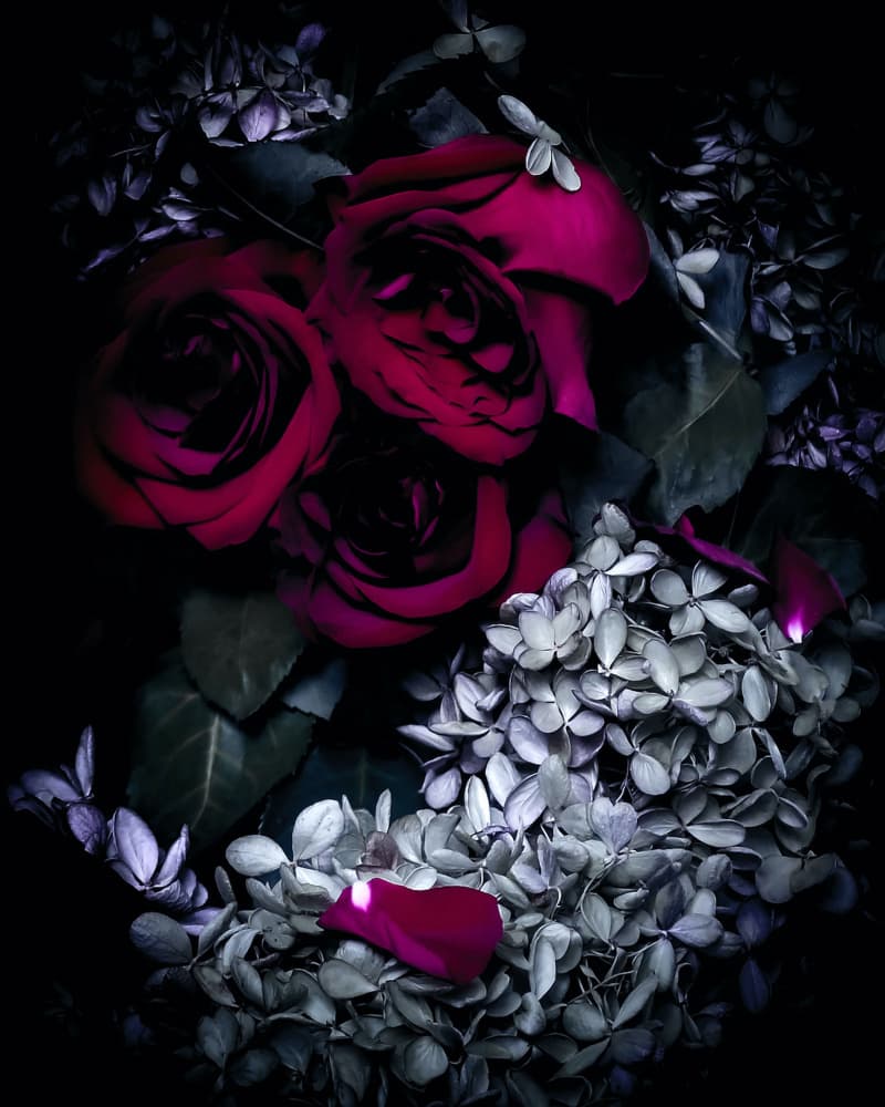 Moody Crimson Roses by Michele Frechette — canvas wall art