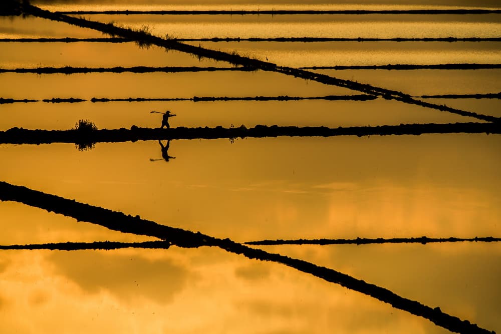 Golden Water Silhouette by Ummu Nisan Kandilcioglu — canvas wall art
