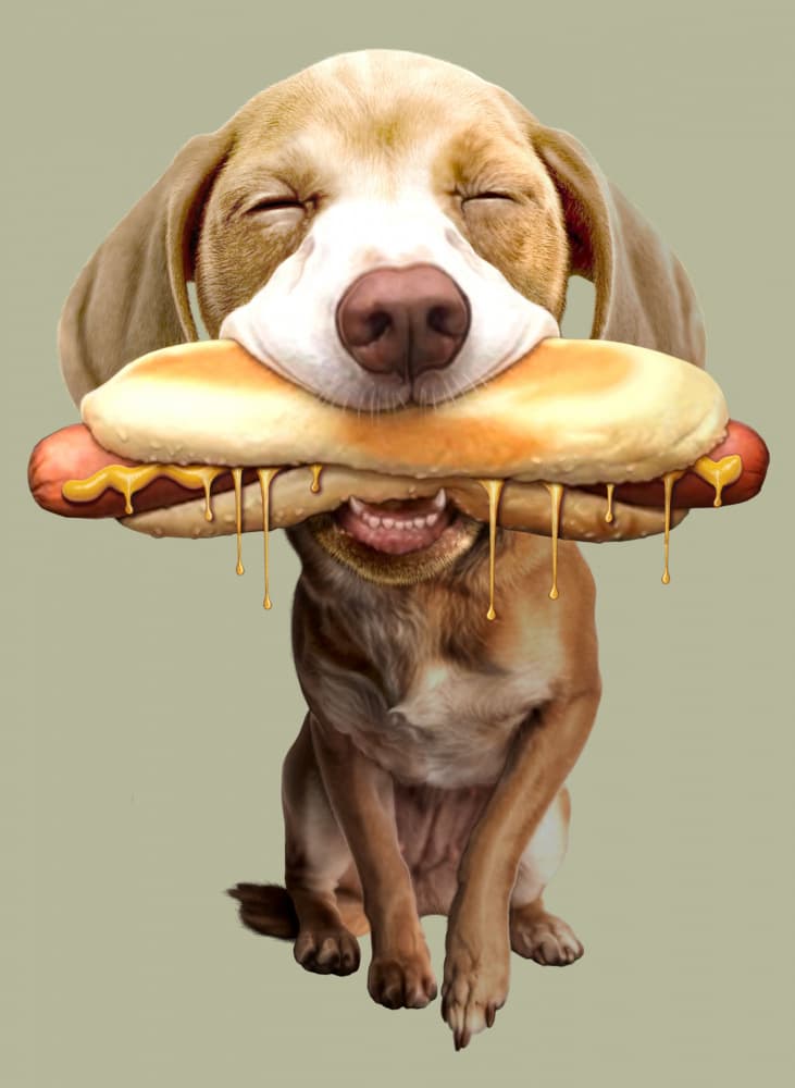 Blissful Dog Hot Dog by Adam Lawless — canvas wall art