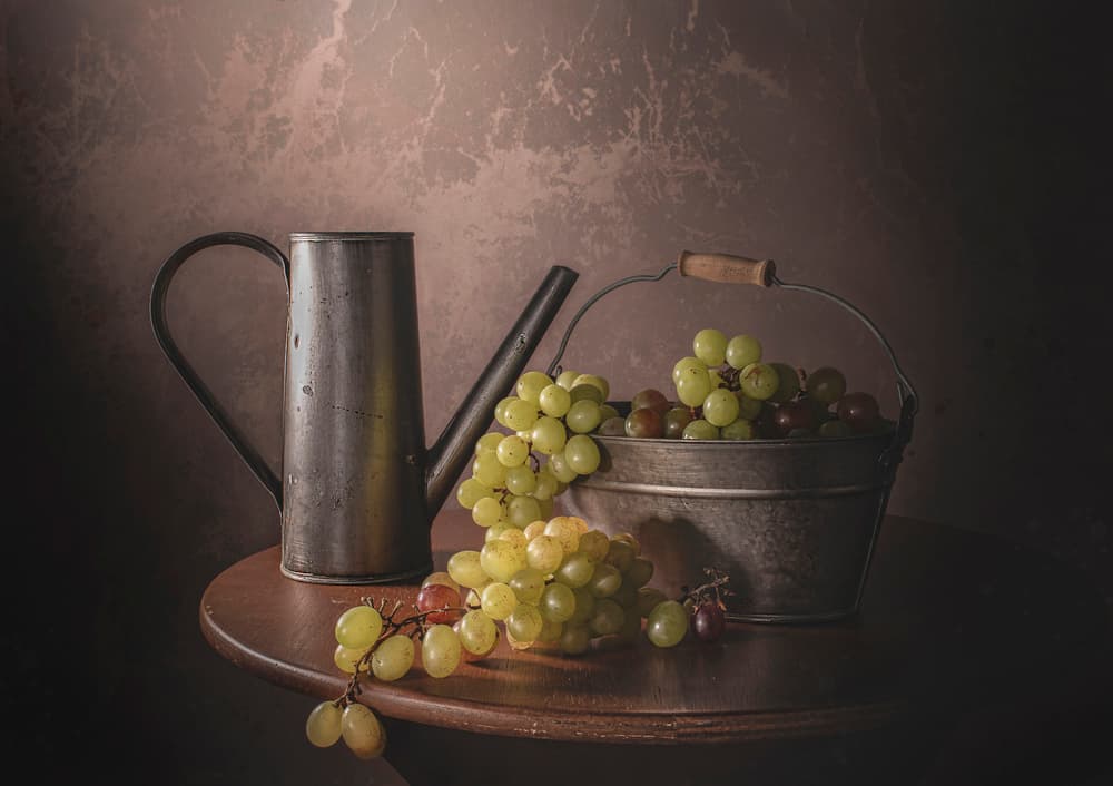 Vintage Grape Harvest by Margareth Perfoncio — canvas wall art