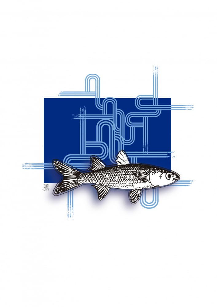 Blue Geometric Fish by Osvaldo Russo — canvas wall art