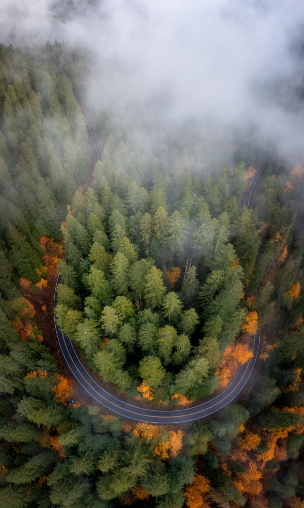 Misty Autumn Road Curve by Gerald Macua — canvas wall art