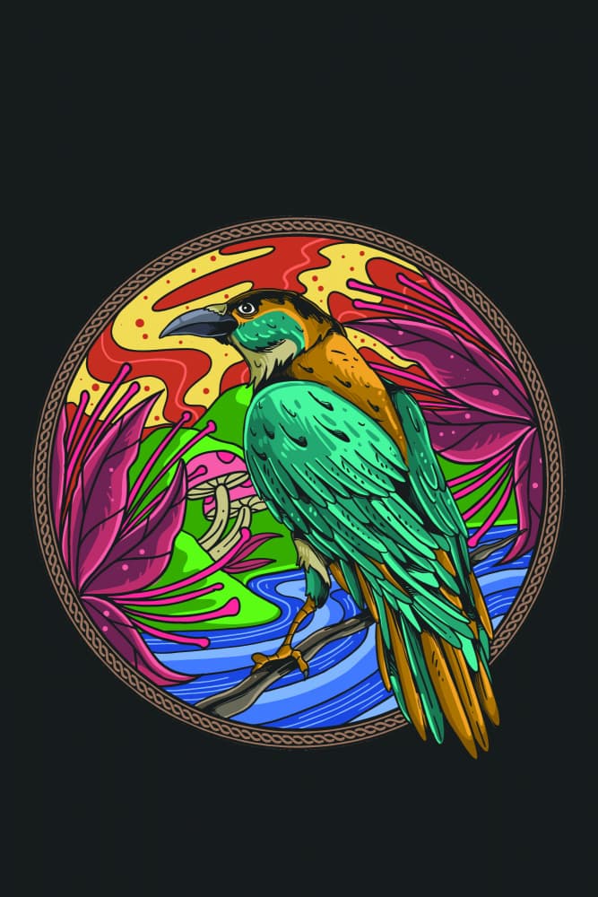 Vibrant Fantasy Bird by jay stanley — canvas wall art