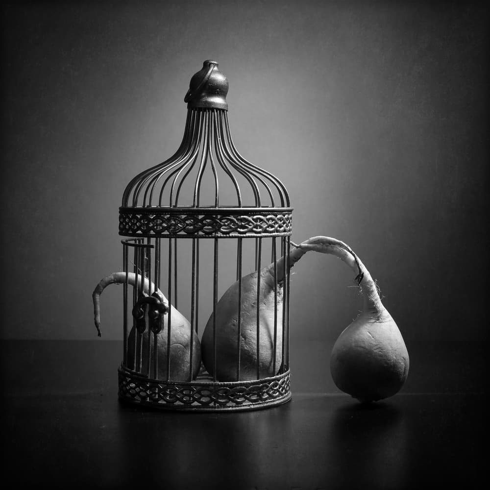 Caged Pears Still Life by Victoria Glinka — canvas wall art