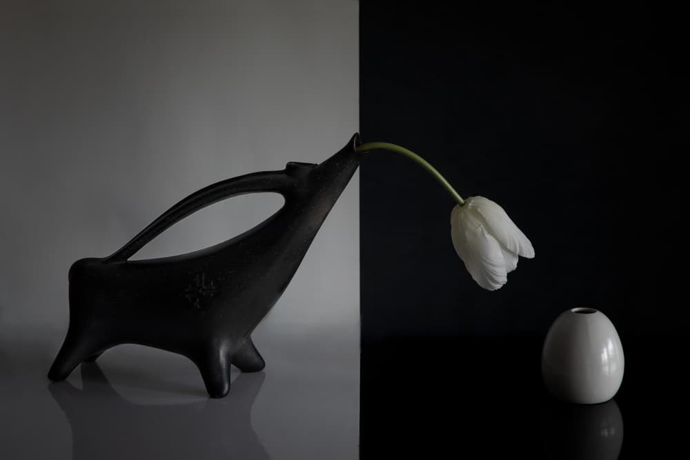 Black White Still Life by Dennis Zhang — canvas wall art