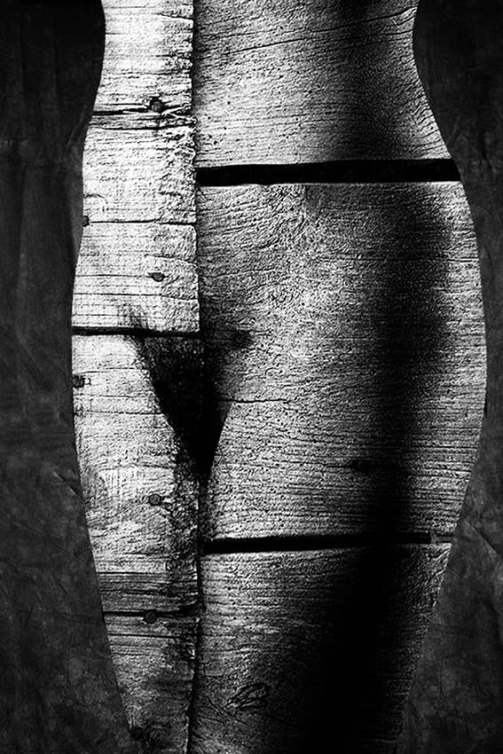 Sensual Wood Curves by Jan Donckers — canvas wall art