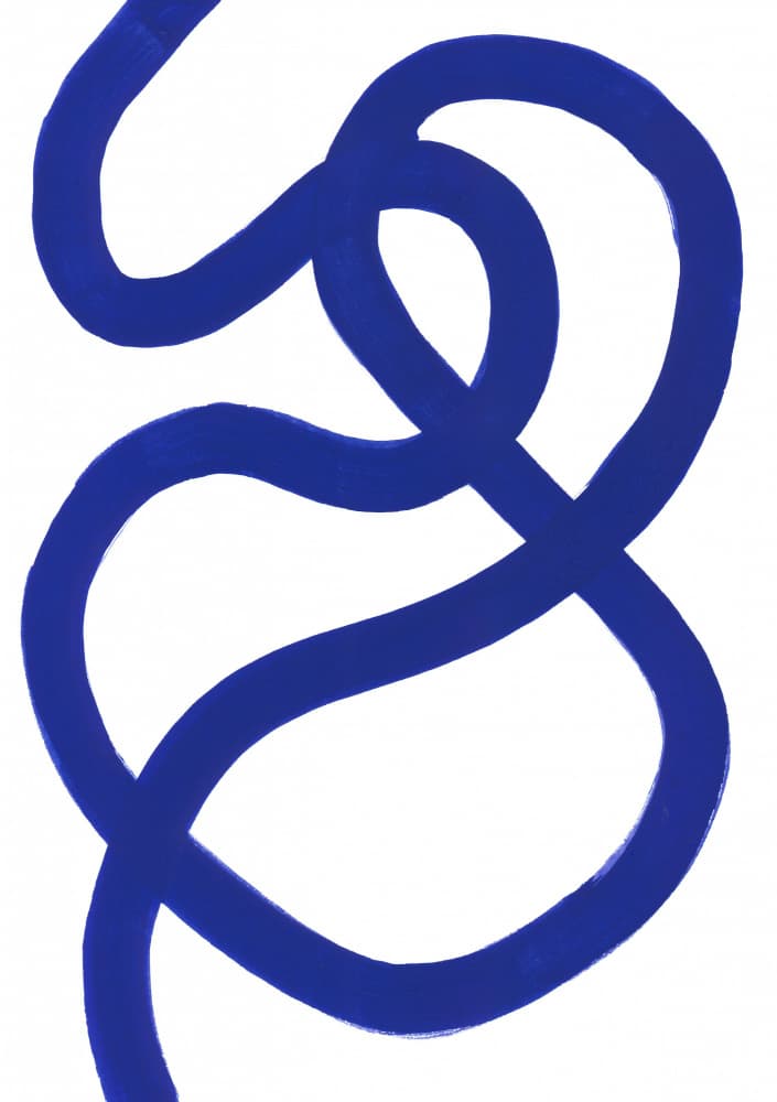 Sinuous Line by Isabelle Brent — canvas wall art