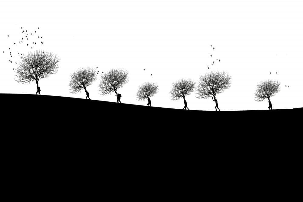 Migration by Hamid Jamshidian — canvas wall art