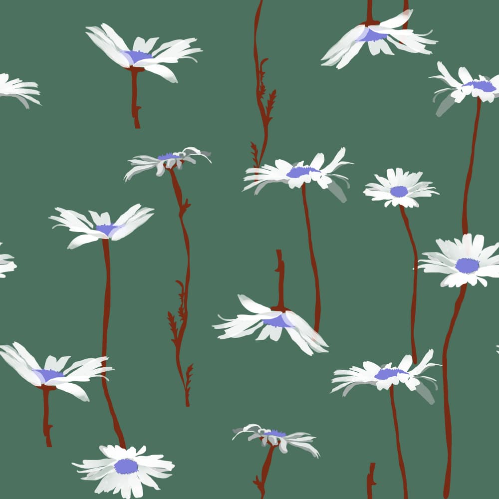 White Daisy Botanical Pattern by Charlotte Trudgett — canvas wall art
