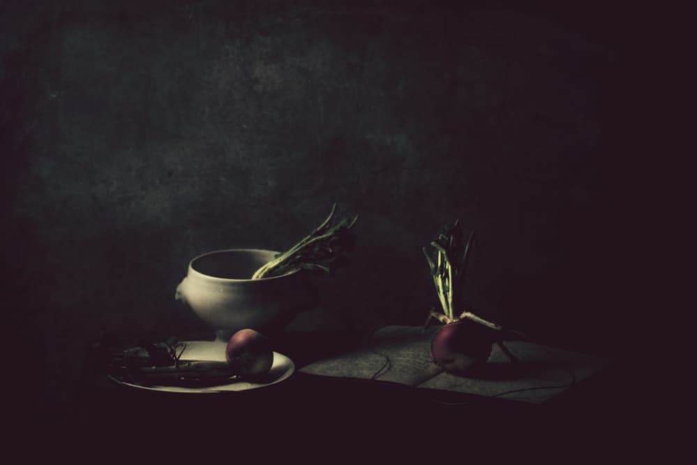 Rustic Radishes Still Life by Delphine Devos — canvas wall art