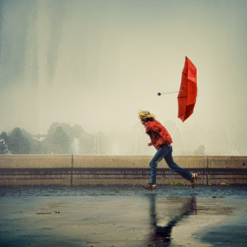 With the wind by ambra — canvas wall art