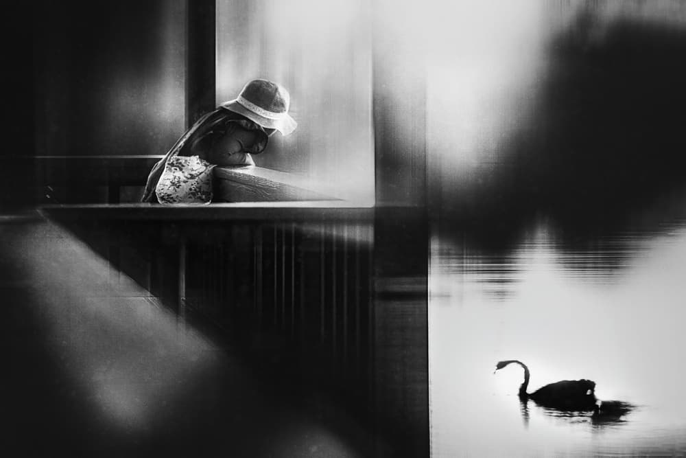 Contemplative Child and Swan by Despird Zhang — canvas wall art