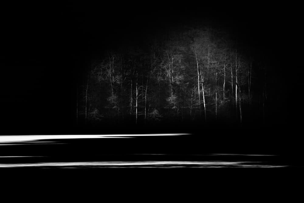Night Forest Reflection by Hilde Ghesquiere — canvas wall art