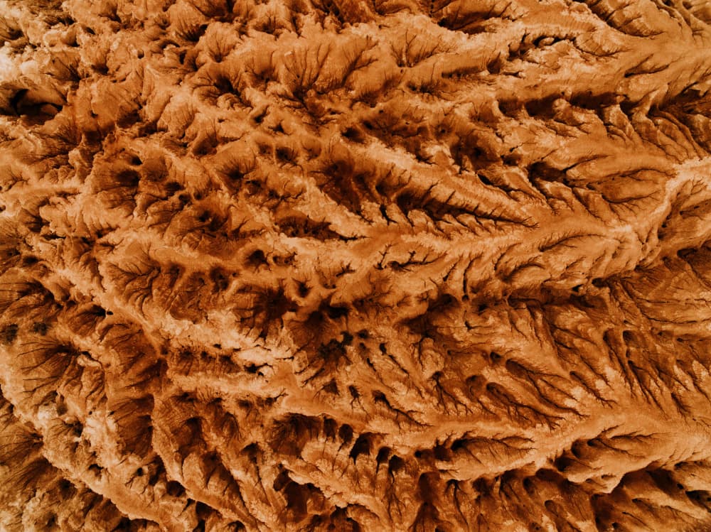 Intricate Desert Patterns by Javier Pardina — canvas wall art