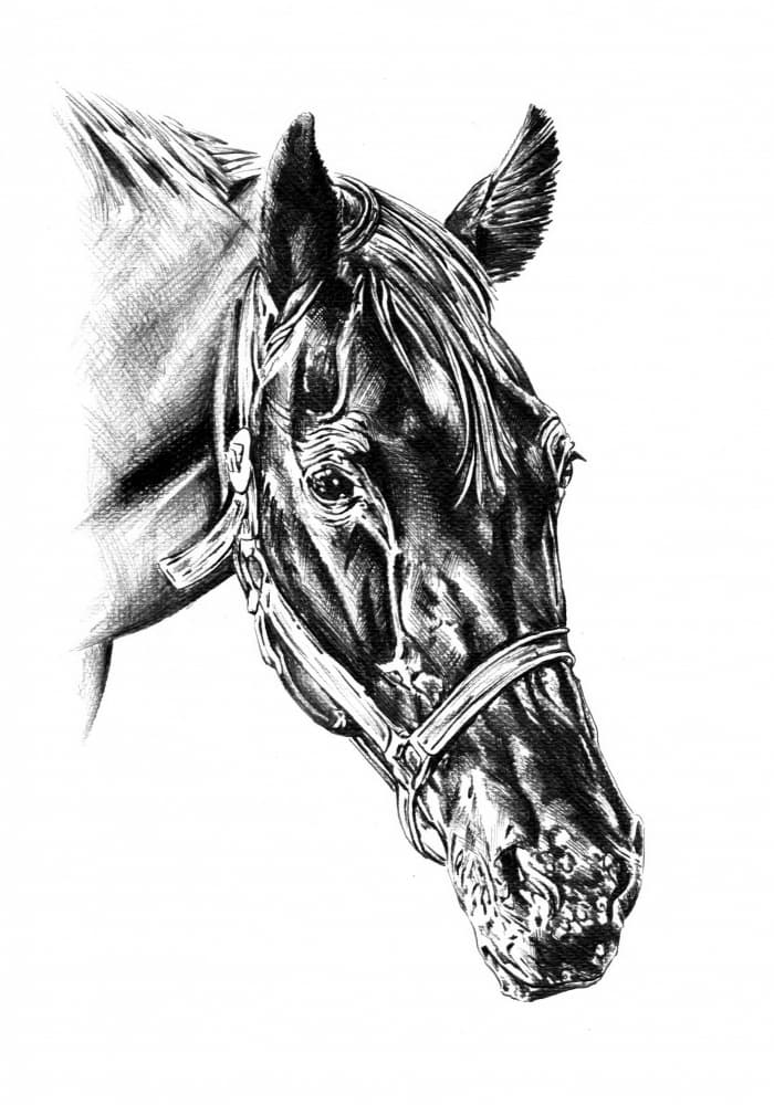 Majestic Horse Head by Kulik — canvas wall art