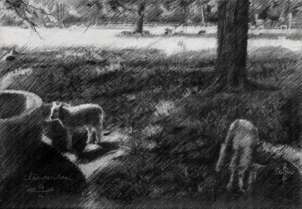 Shaded Pasture Sheep Sketch by Corné Akkers — canvas wall art