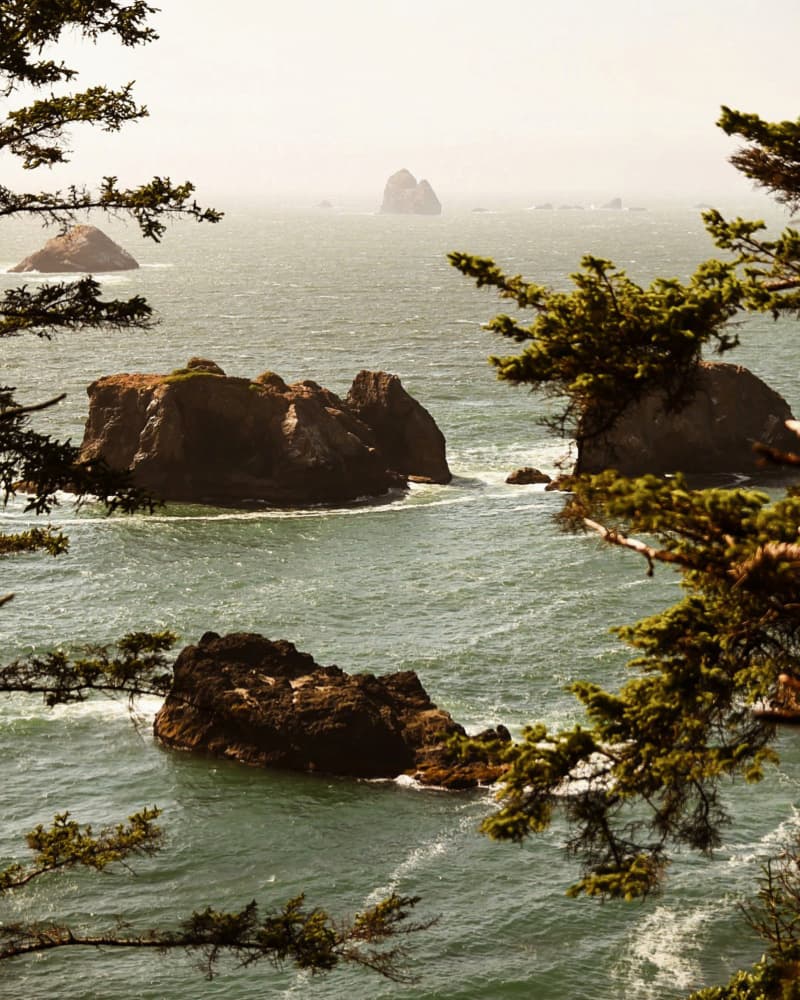 Misty Coastal Rocks by Del Mundo Imagery — canvas wall art