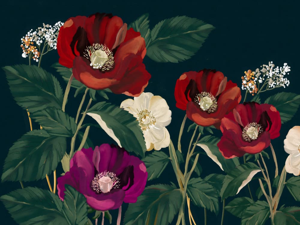 Elegant Dark Poppies by Josie George — canvas wall art