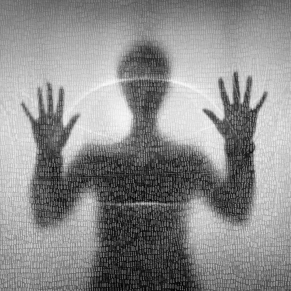 Digital Human Identity by Roswitha Schleicher-Schwarz — canvas wall art