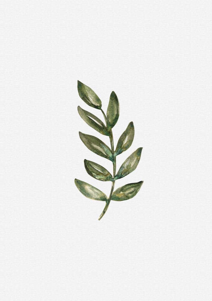 Green Botanical Branch by Olena Kovalova — canvas wall art