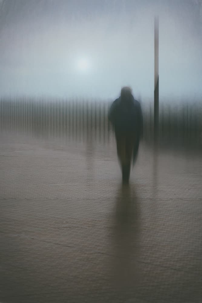 Misty Path Solitude by Bruno Flour — canvas wall art