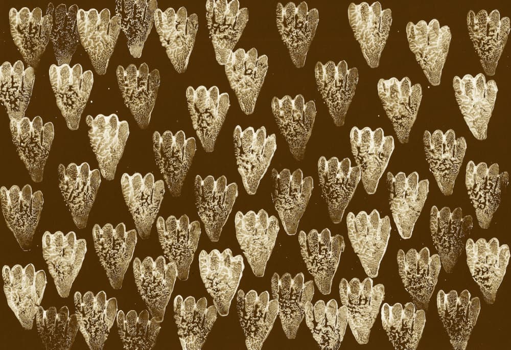 Sepia Organic Pattern by Santhosh ch — canvas wall art