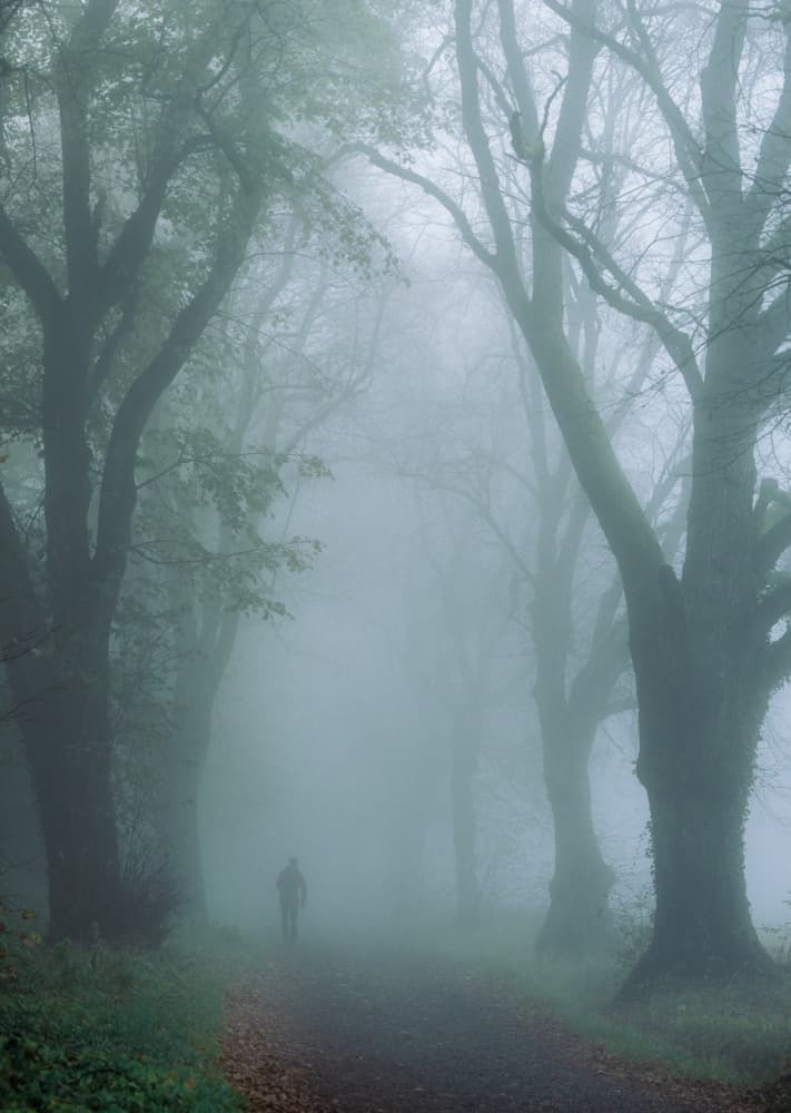 Solitary Figure in Fog by Ulrike Eisenmann — canvas wall art