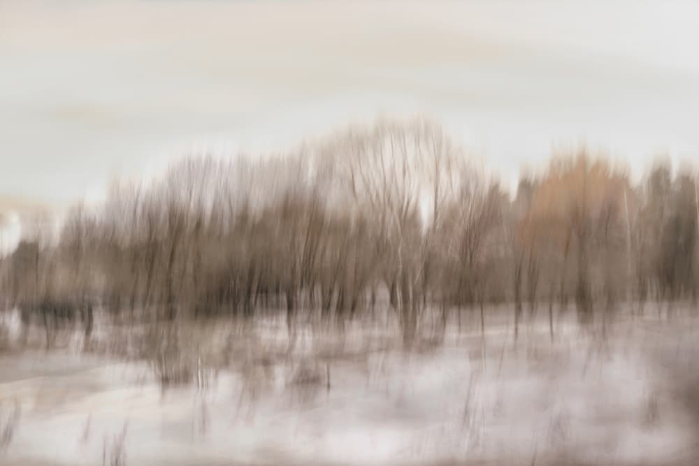 Blurred Forest Reflection by Christina Sillen — canvas wall art