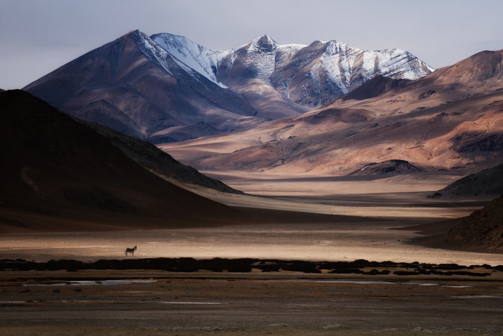 Solitary Mountain Wilderness by swapnil deshpande — canvas wall art