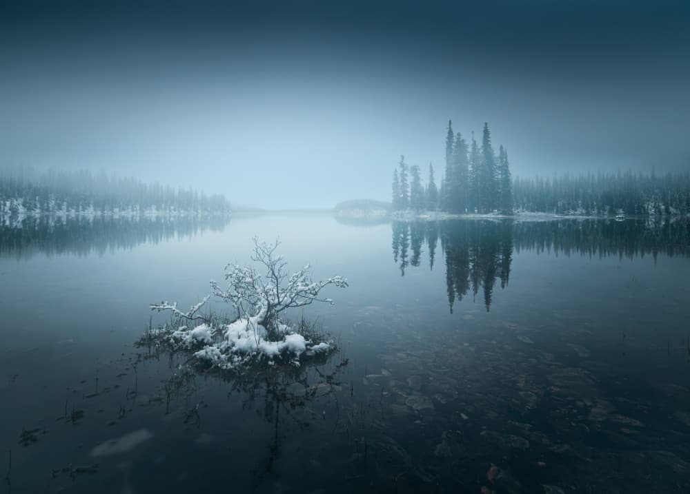 Misty Winter Lake by Bing Li — canvas wall art