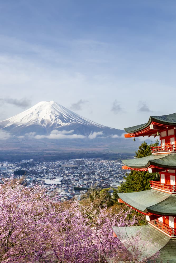 Spring Fuji Pagoda View by Melanie Viola — canvas wall art