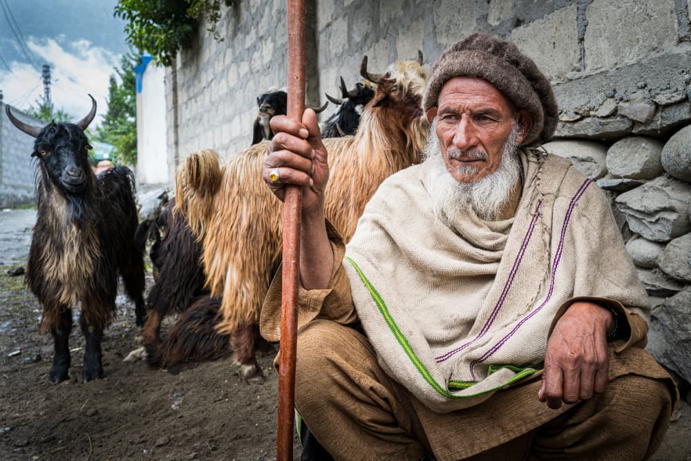 Old Man and Goats by Ali Khataw — canvas wall art