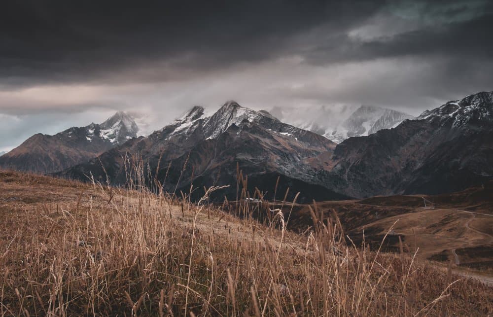 Moody Mountain Grasslands by Stephanie Kleimann — canvas wall art