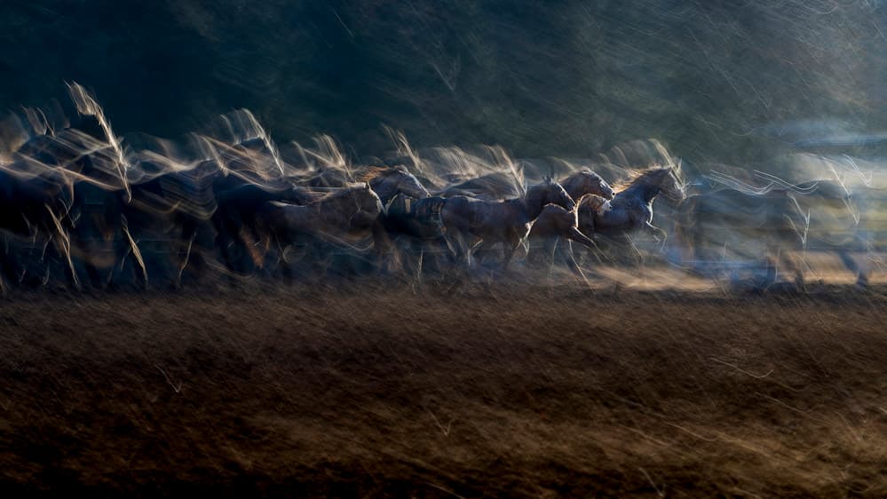 Wild Horses Motion Blur by Milan Malovrh — canvas wall art