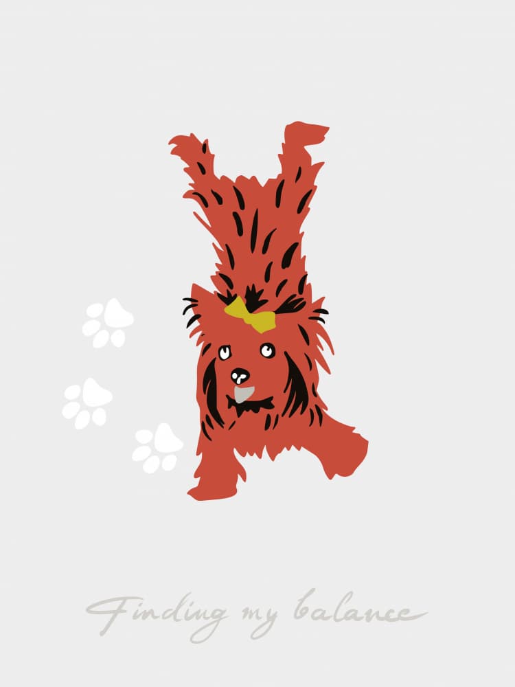 Silly Balancing Pup by Annick — canvas wall art