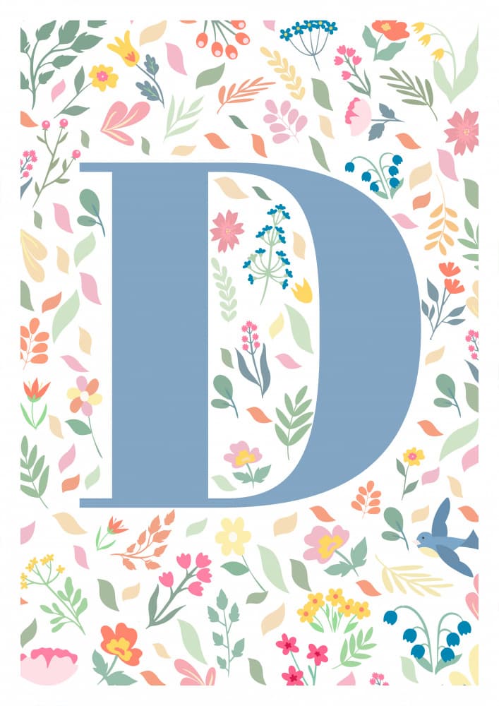 Floral Letter D by Sarah Manovski — canvas wall art