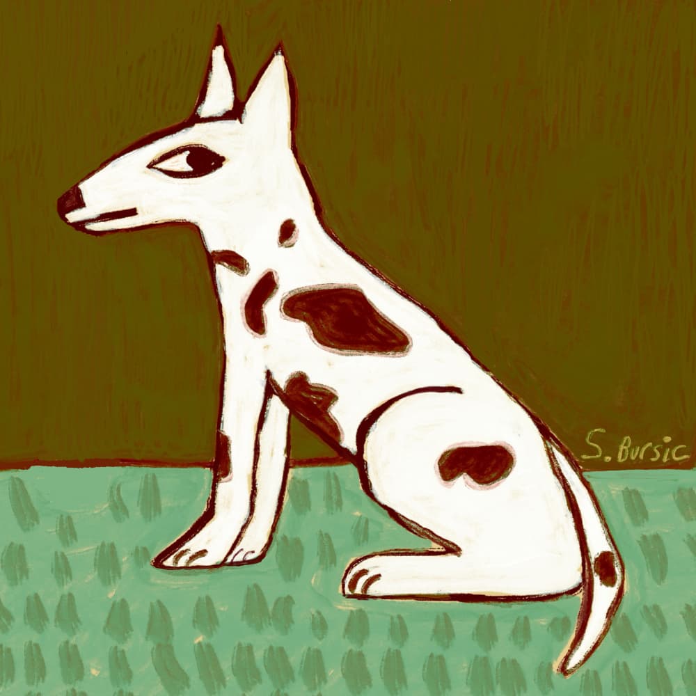 Sitting Spotted Dog by Sharyn Bursic — canvas wall art