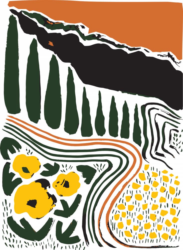 Tuscan Cypress Landscape by Sarah Fitzgerald — canvas wall art