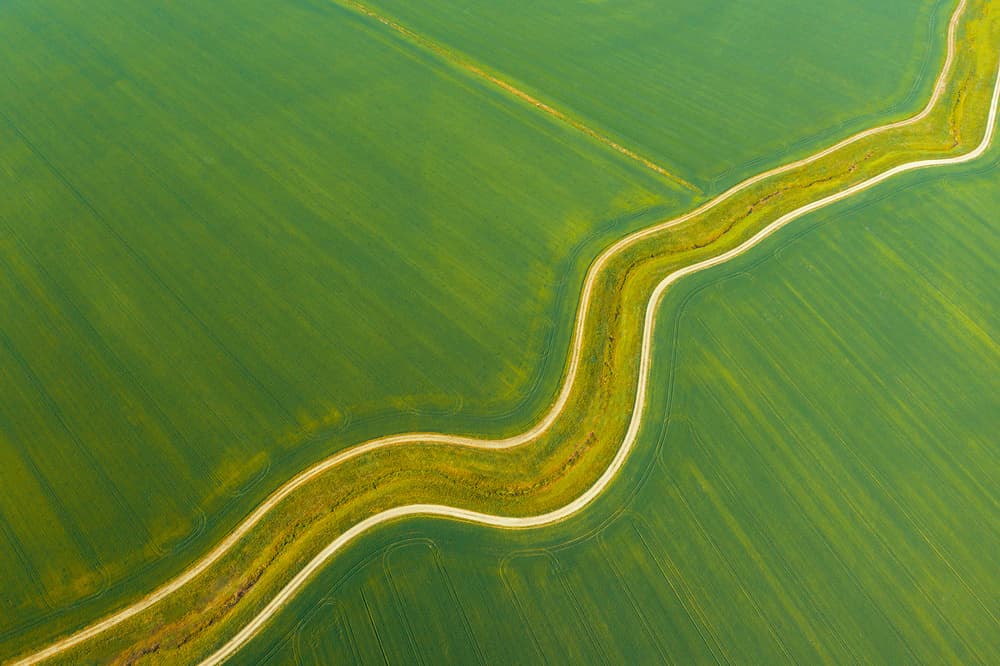 Green Fields Winding Path by Jure Kravanja — canvas wall art