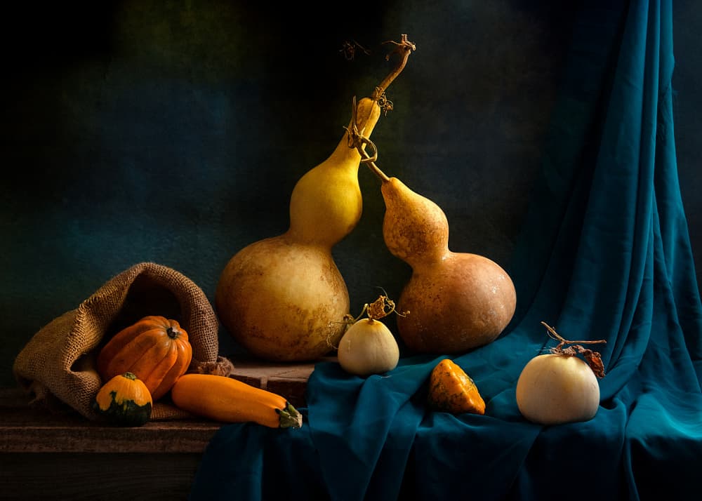 Autumn Gourds Still Life by Louie Luo — canvas wall art