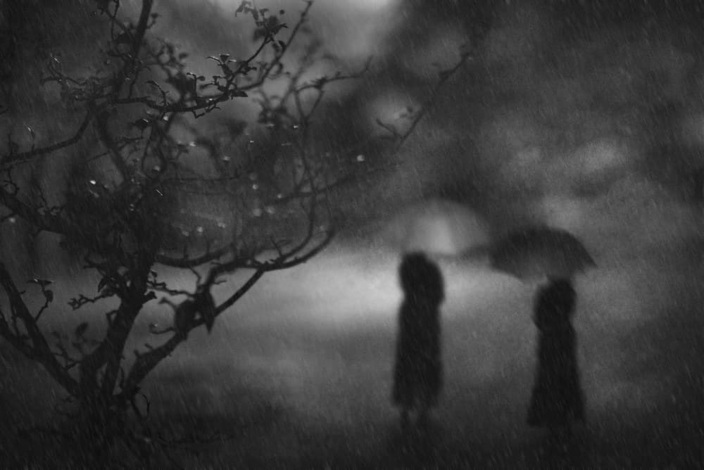 Rainy Day Together by Teruhiko Tsuchida — canvas wall art