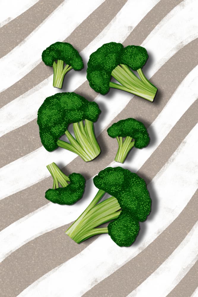 Fresh Broccoli Stripes by EMELIEmaria — canvas wall art