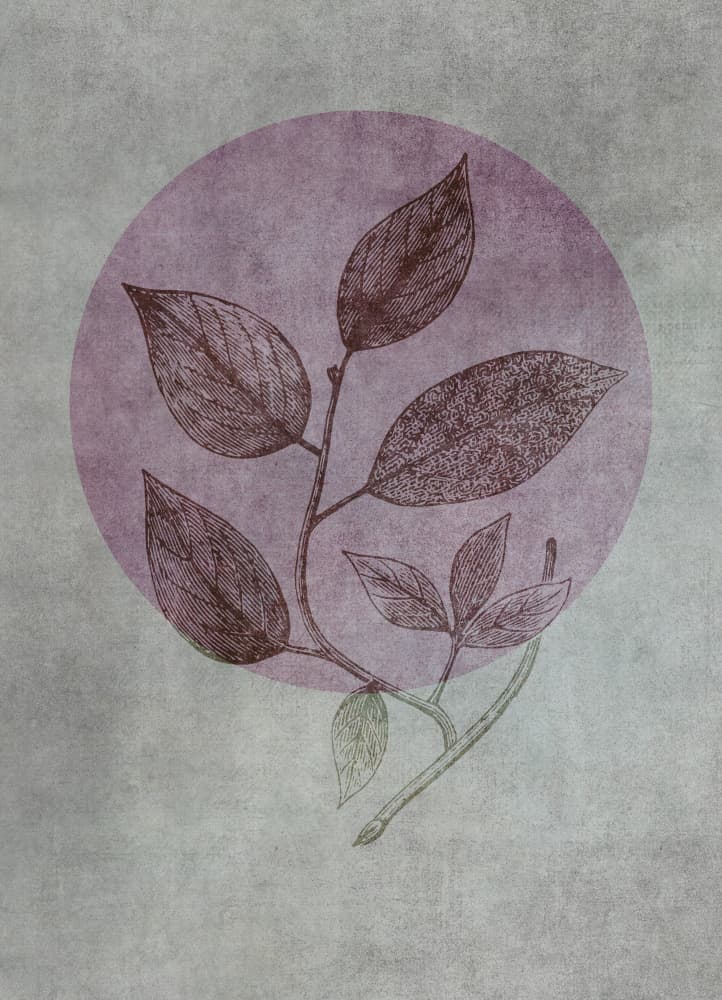 Vintage Botanical Branch by Andrea Haase — canvas wall art