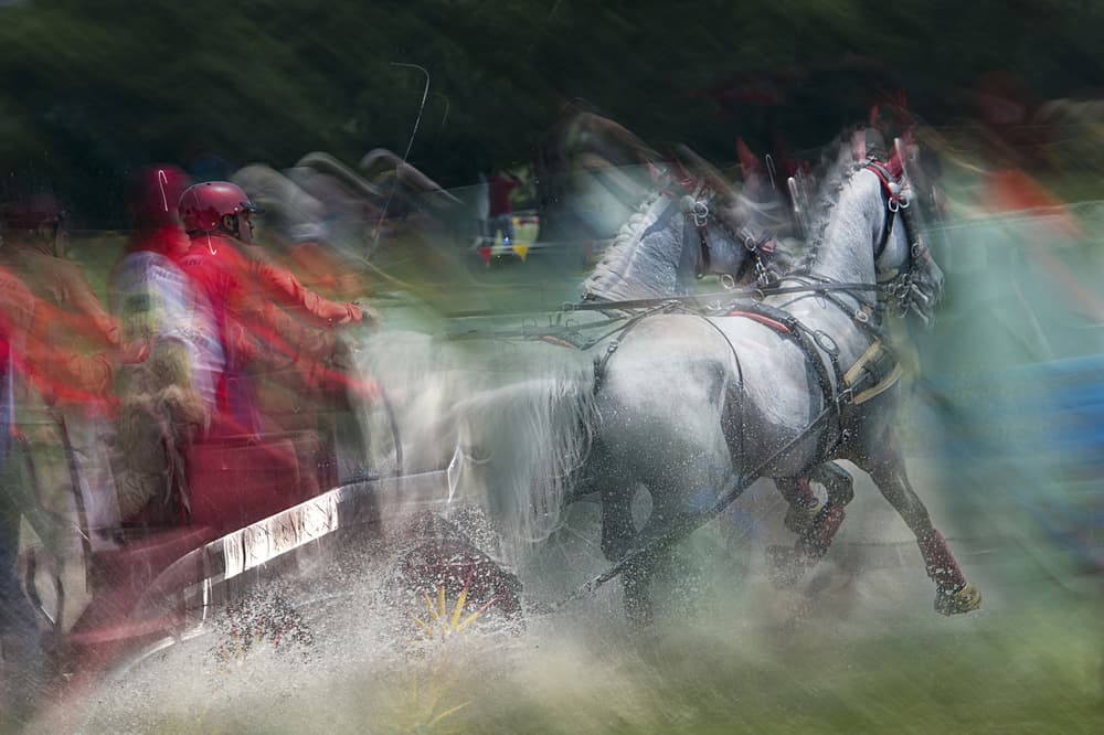 Motion Blur Horse Race by Milan Malovrh — canvas wall art