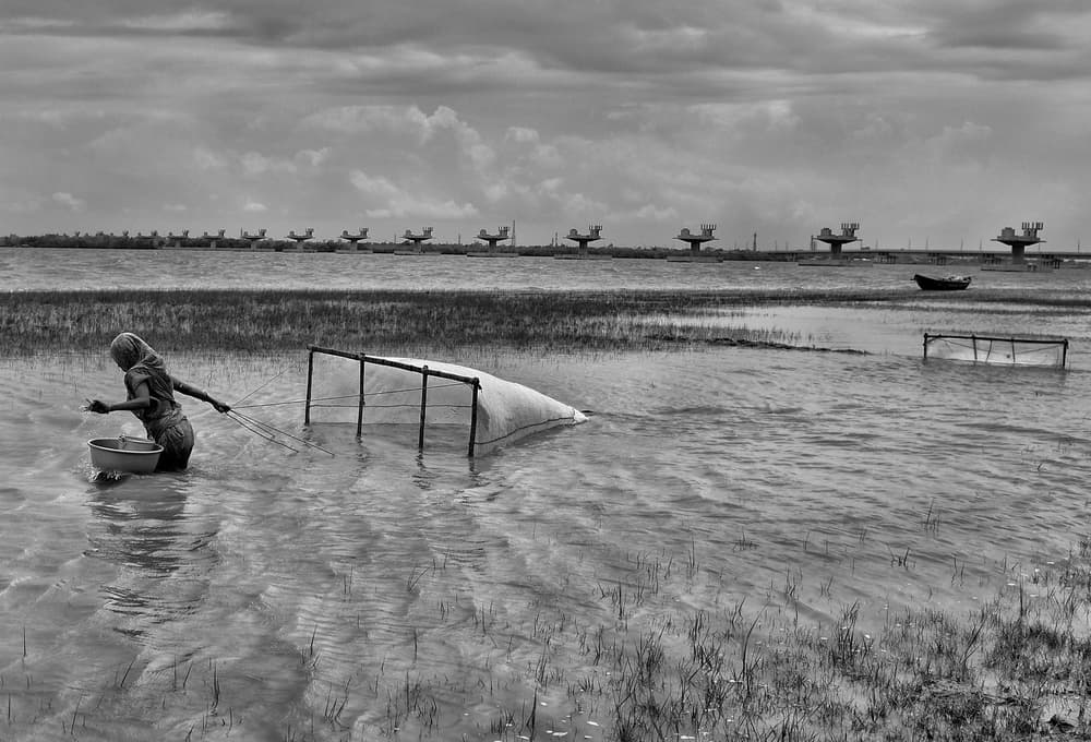Rural Fishing Horizon by Avishek Das — canvas wall art